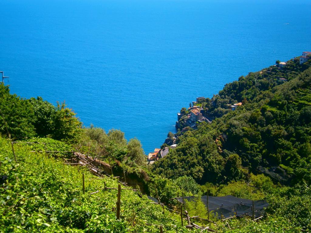 Villa En Rose Ravello Habitación foto